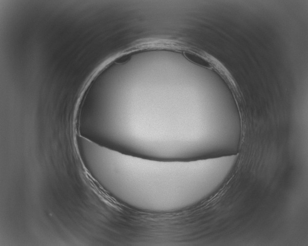 X0000084521435200702230826