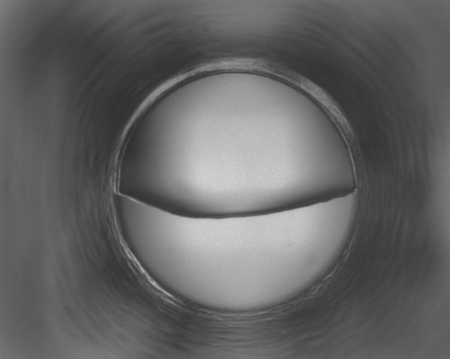 X0000084521436200702230826