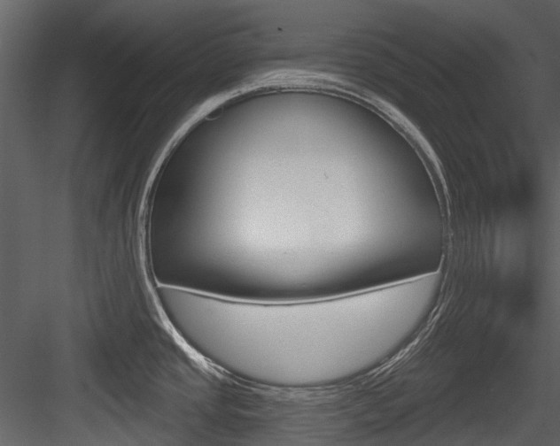 X0000084521437200702230826