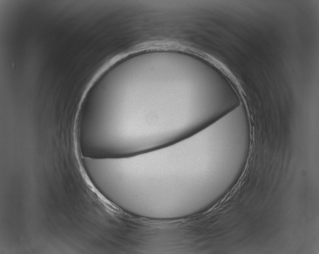 X0000084521440200702230826