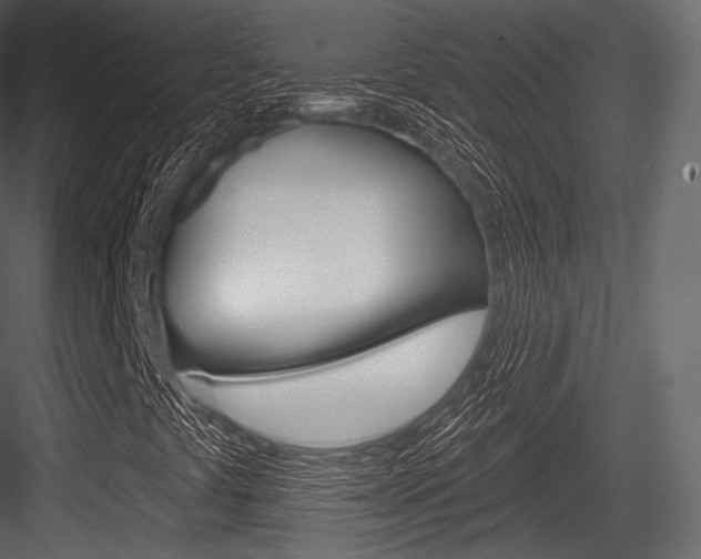 X0000084521441200702230825