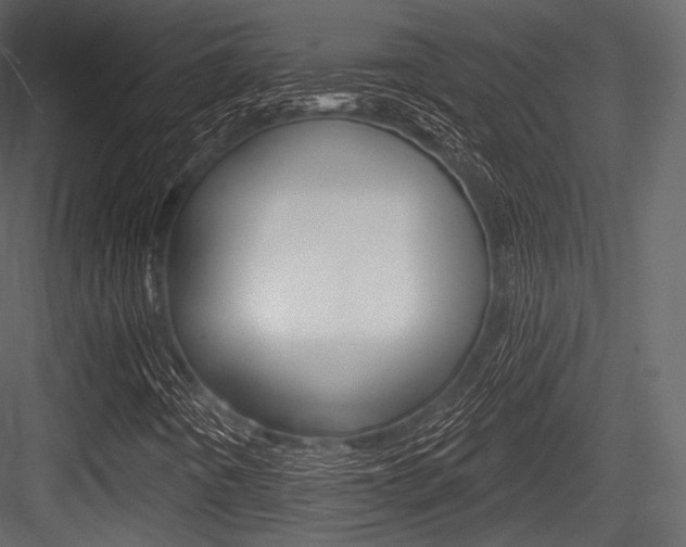 X0000084521442200702230825