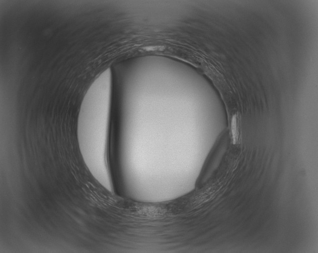 X0000084521443200702230825