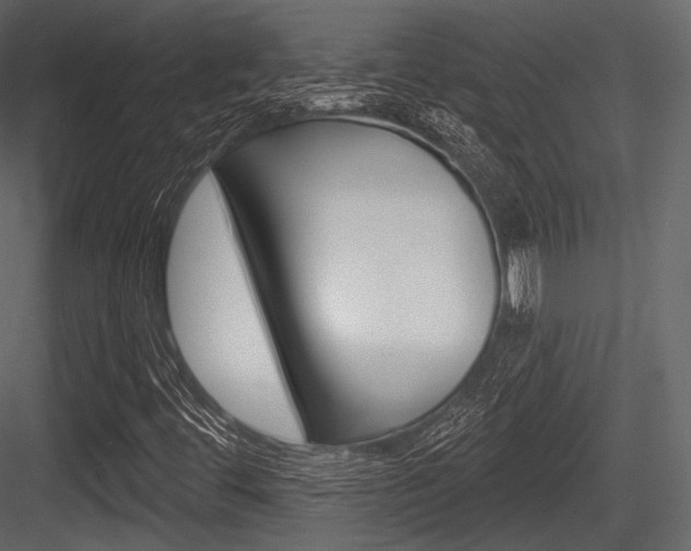 X0000084521444200702230825