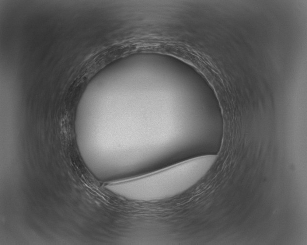 X0000084521445200702230825
