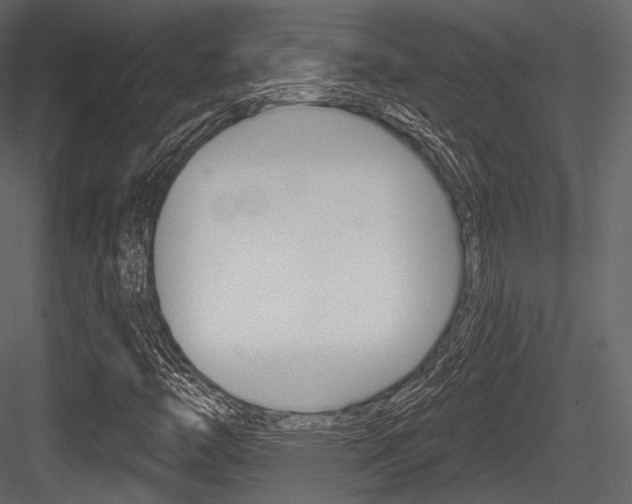 X0000084521446200702230825