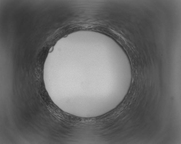 X0000084521447200702230825