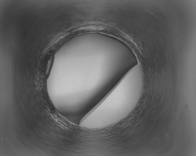 X0000084521448200702230825
