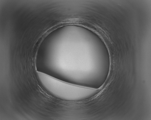 X0000084521449200702230825