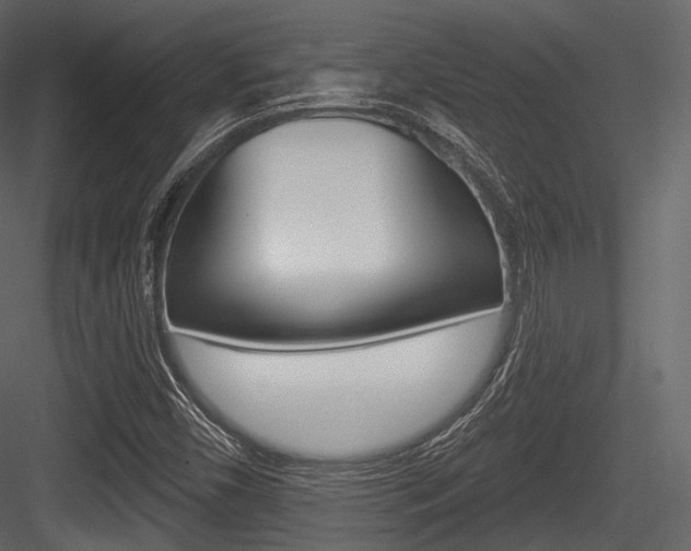 X0000084521450200702230825