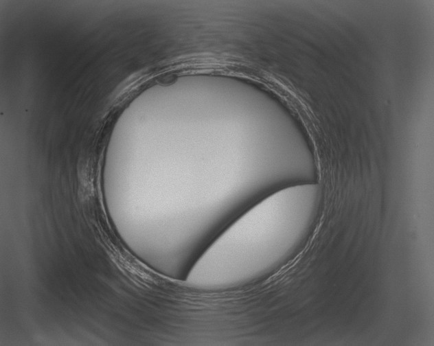 X0000084521451200702230825
