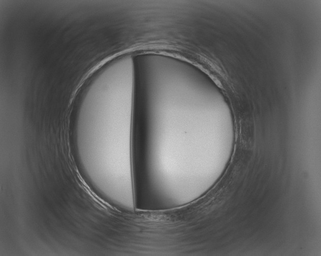 X0000084521452200702230825