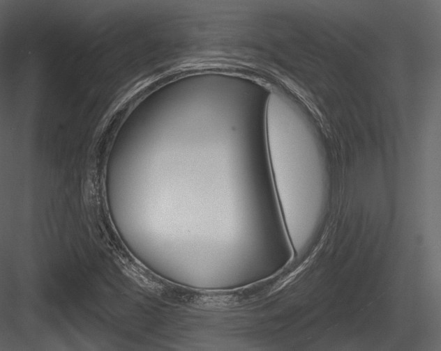 X0000084521453200702230825