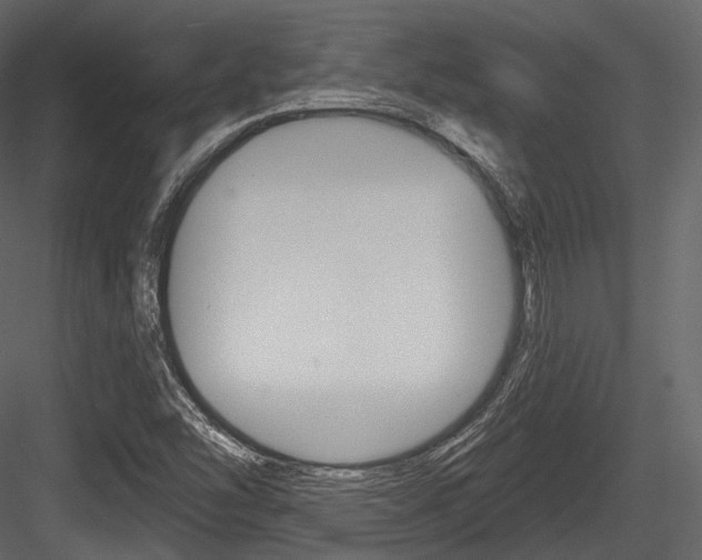 X0000084521454200702230825
