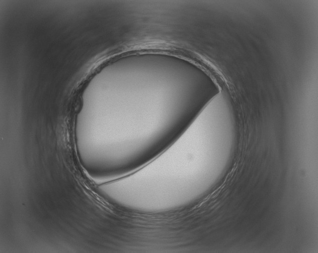 X0000084521455200702230825