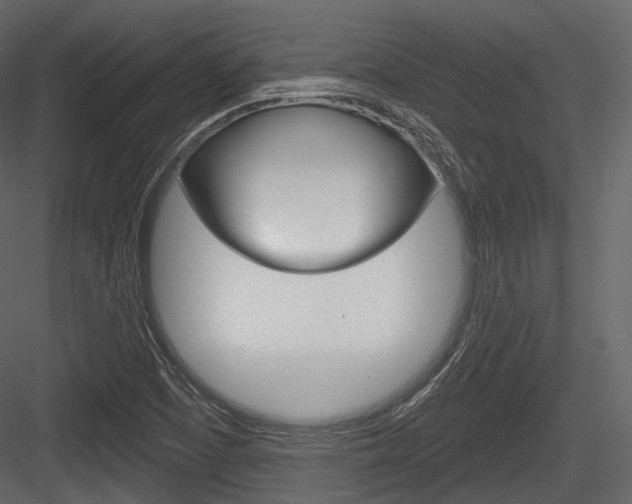 X0000084521457200702230825