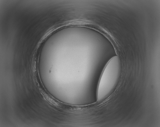 X0000084521459200702230825