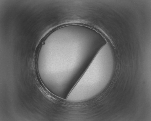 X0000084521460200702230825