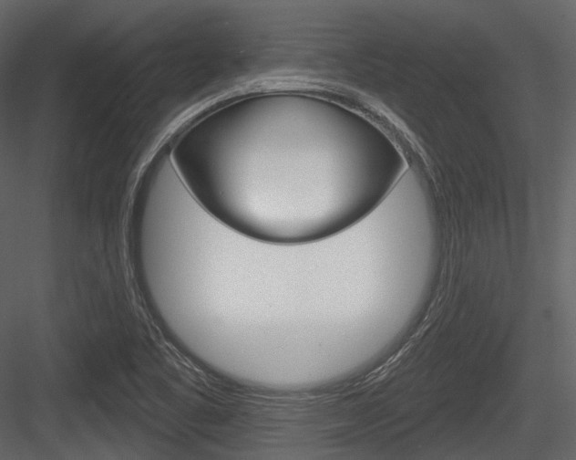 X0000084521461200702230825