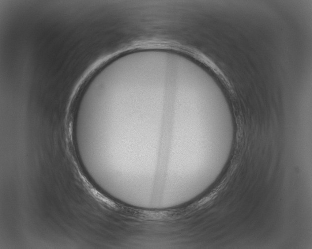 X0000084521462200702230825