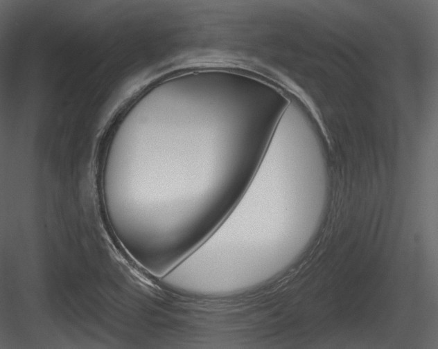 X0000084521464200702230825