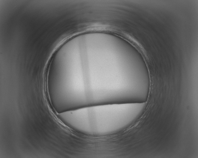 X0000084521467200702230825