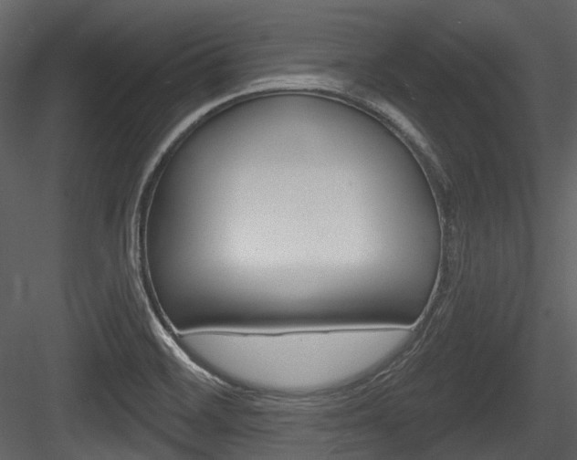 X0000084521468200702230825