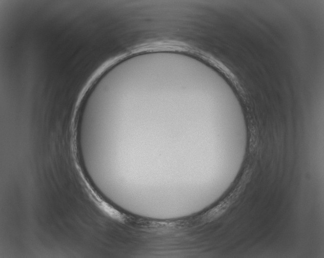 X0000084521470200702230825