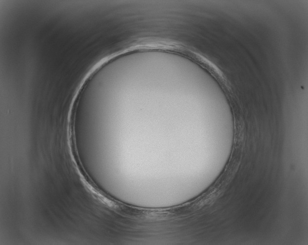 X0000084521471200702230825