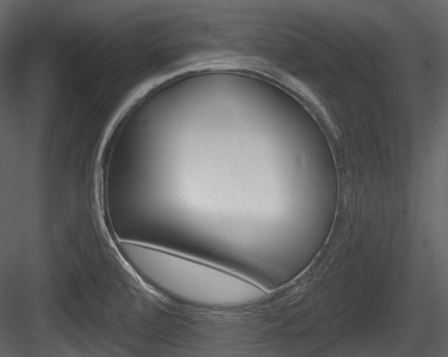 X0000084521472200702230825