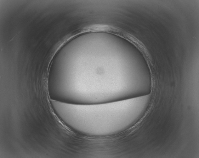 X0000084521473200702230825