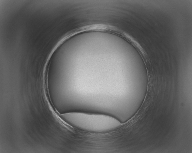 X0000084521475200702230825