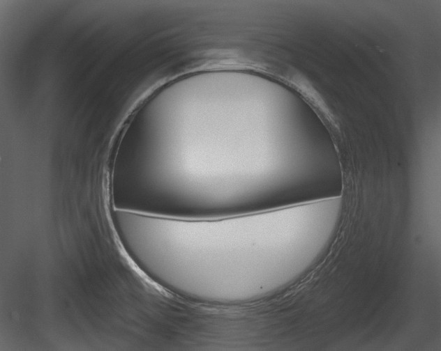 X0000084521476200702230825