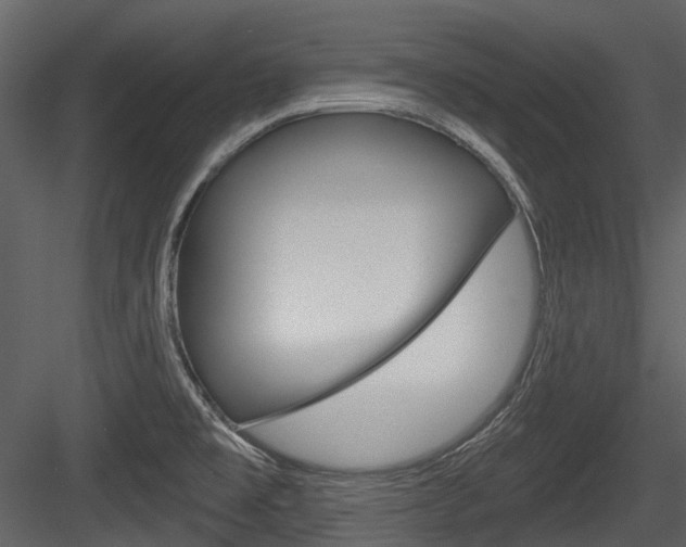 X0000084521477200702230825