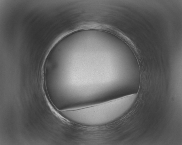 X0000084521479200702230825