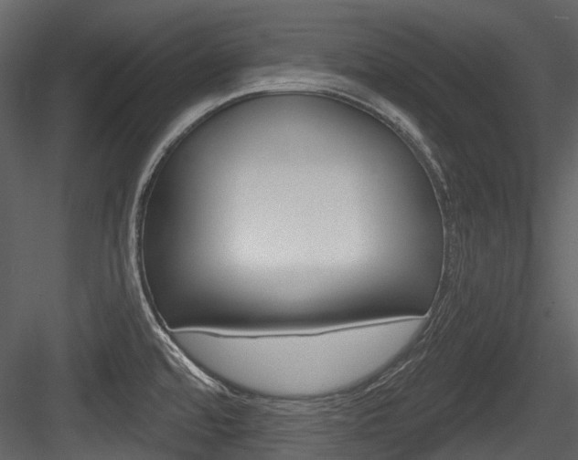 X0000084521480200702230824