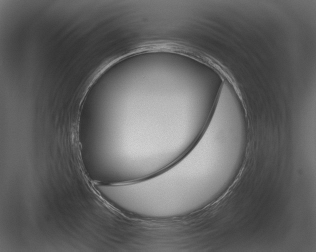 X0000084521481200702230824