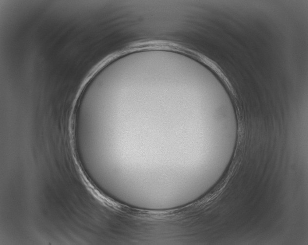 X0000084521482200702230824
