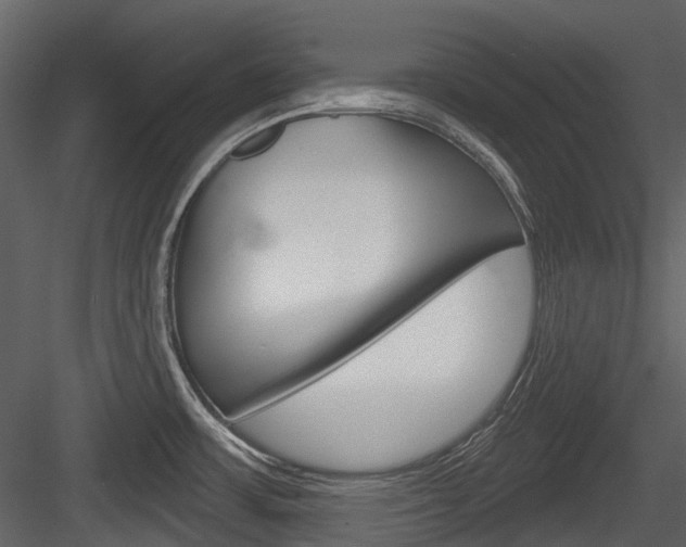 X0000084521483200702230824