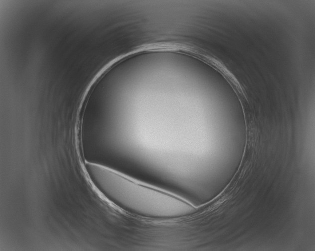 X0000084521484200702230824