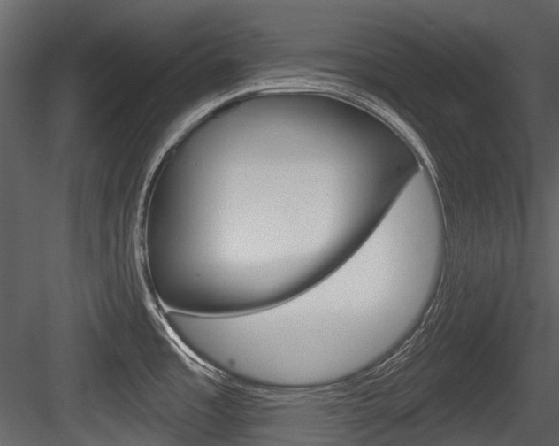 X0000084521485200702230824