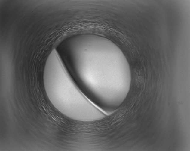 X0000084521489200702230824