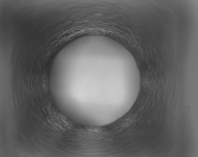 X0000084521490200702230824