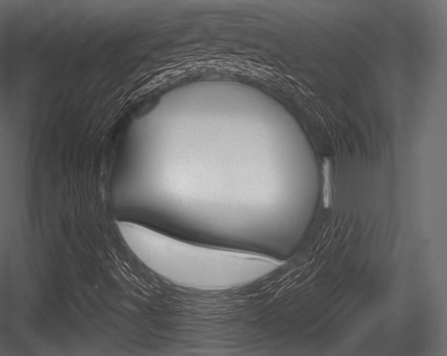 X0000084521491200702230824