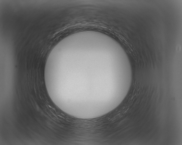 X0000084521492200702230824