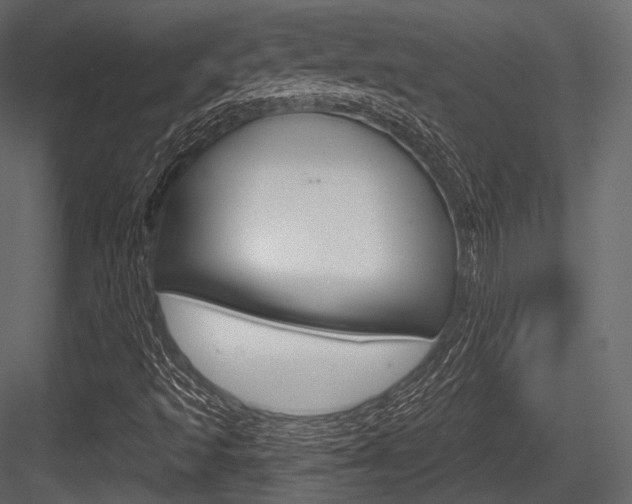 X0000084521493200702230824