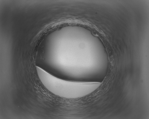 X0000084521495200702230824