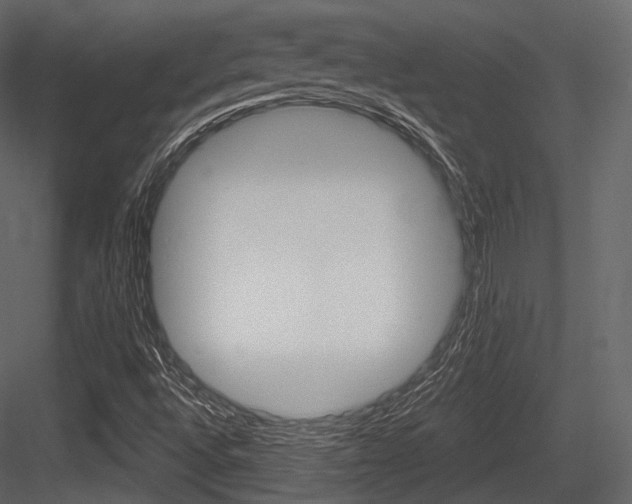 X0000084521496200702230824