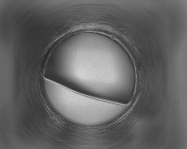 X0000084521497200702230824