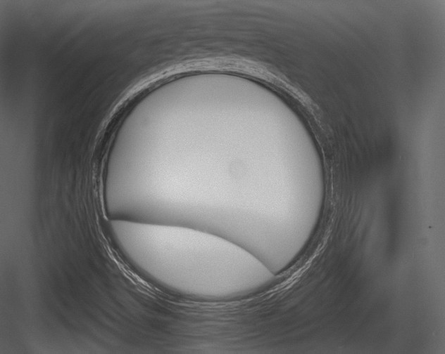 X0000084521498200702230824